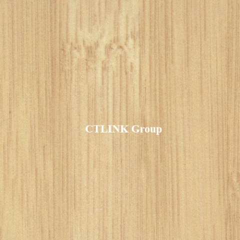 Sàn nâng kỹ thuật đục lỗ thông gió FS-PER1000